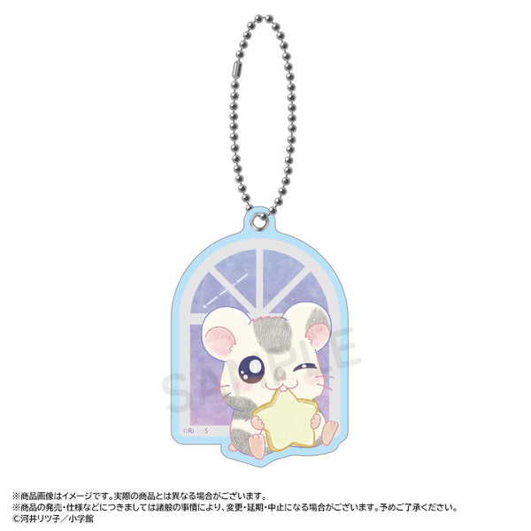 『とっとこハム太郎』~Twinkle Dreams~スライドミラー C.こうしくん